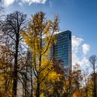 Düsseldorfer Hofgarten im Herbst