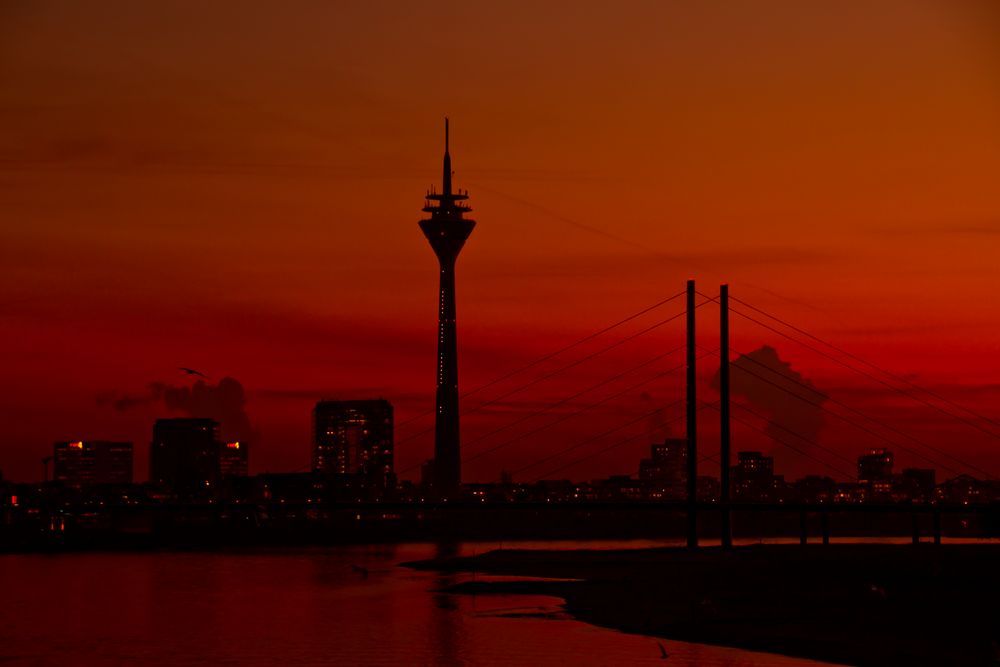 Düsseldorfer in rot