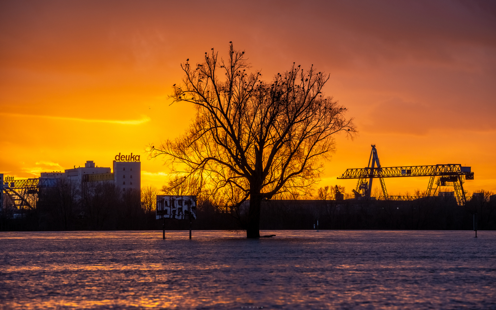 Düsseldorfer Momente