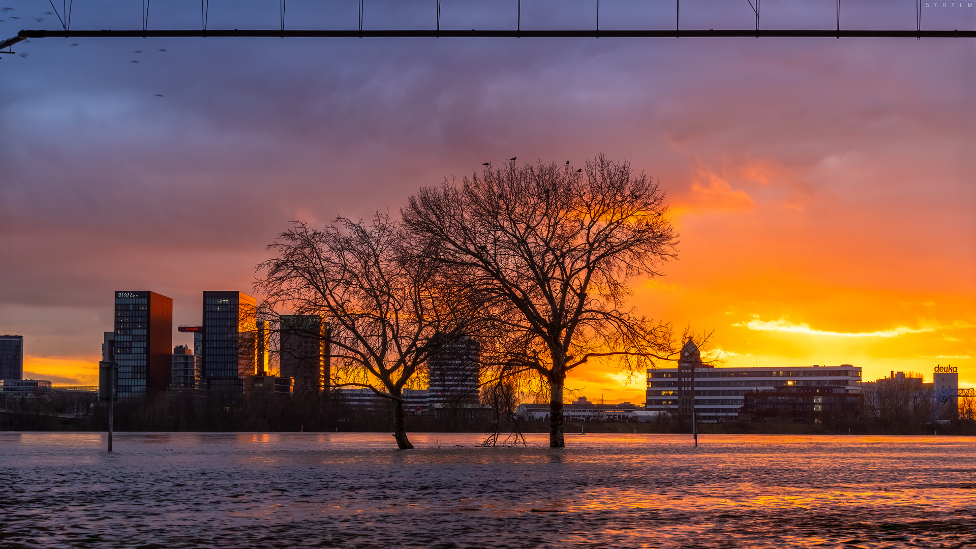 Düsseldorfer Momente