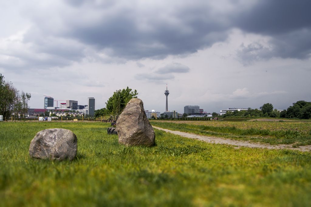 Düsseldorfer Panorama