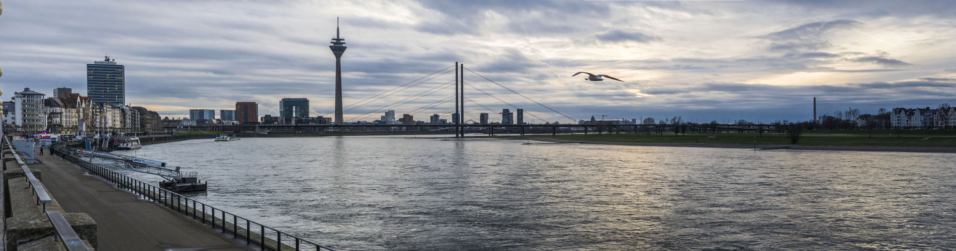 Düsseldorfer Rheinblick