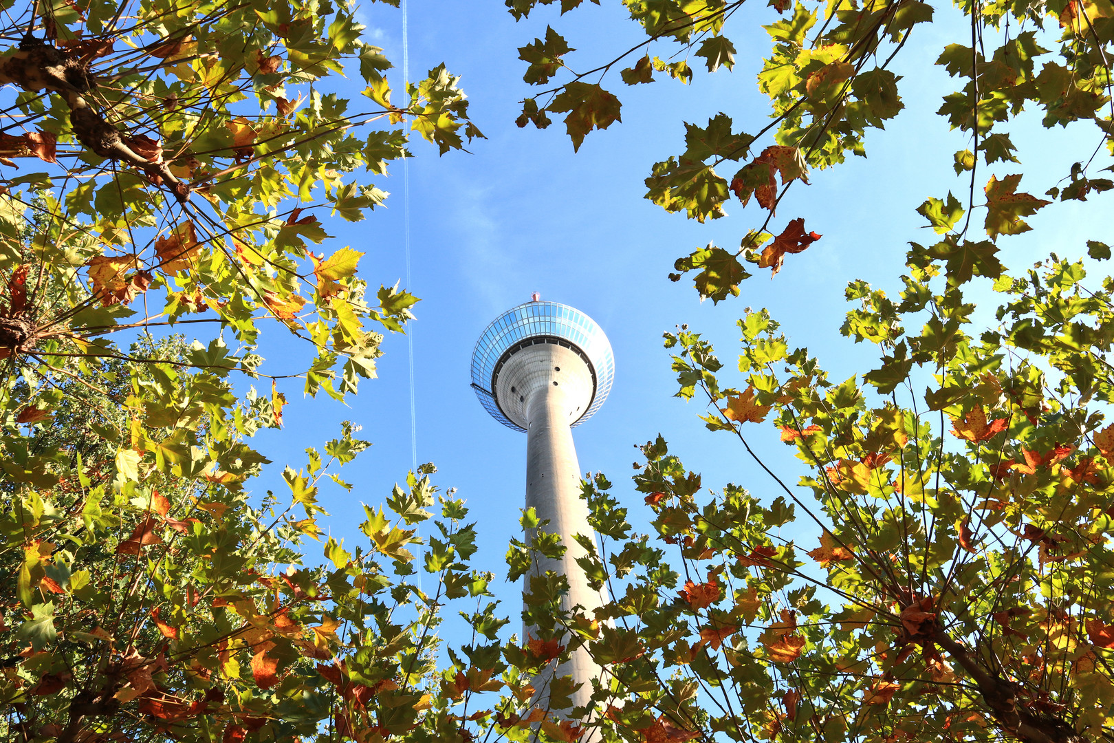 Düsseldorfer Rheinturm im Herbst