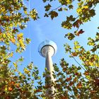 Düsseldorfer Rheinturm im Herbst