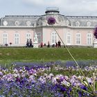 Düsseldorfer Schlosspark Benrath