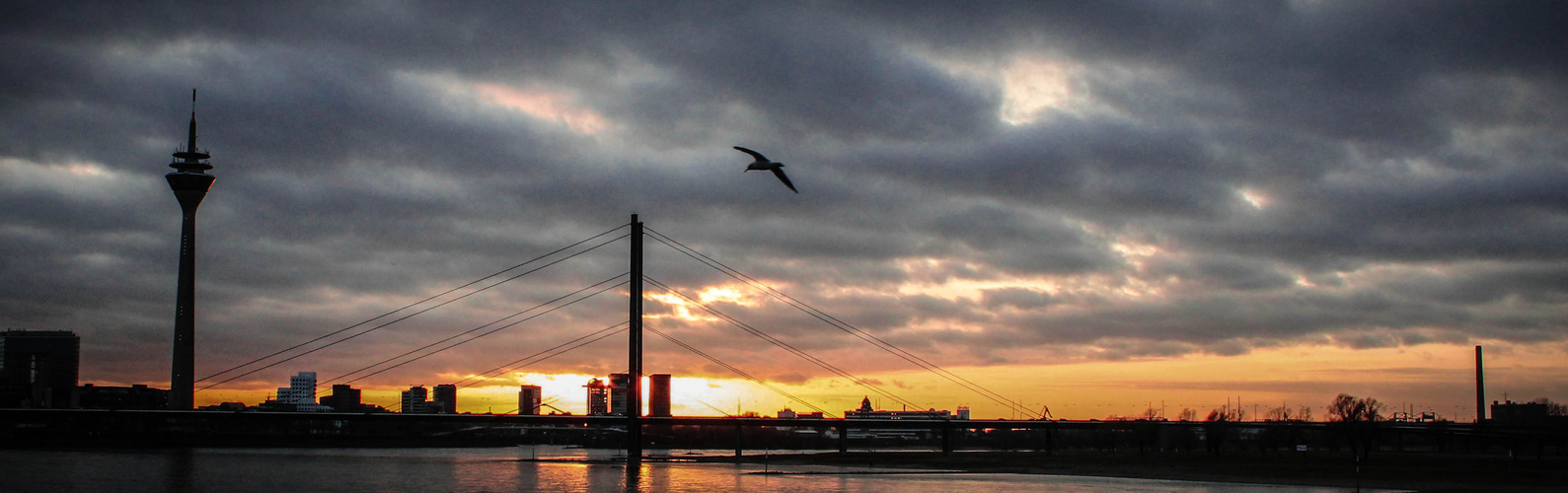 Düsseldorfs schönste Aussicht