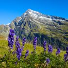 Düssistock im Maderanertal (Schweiz)