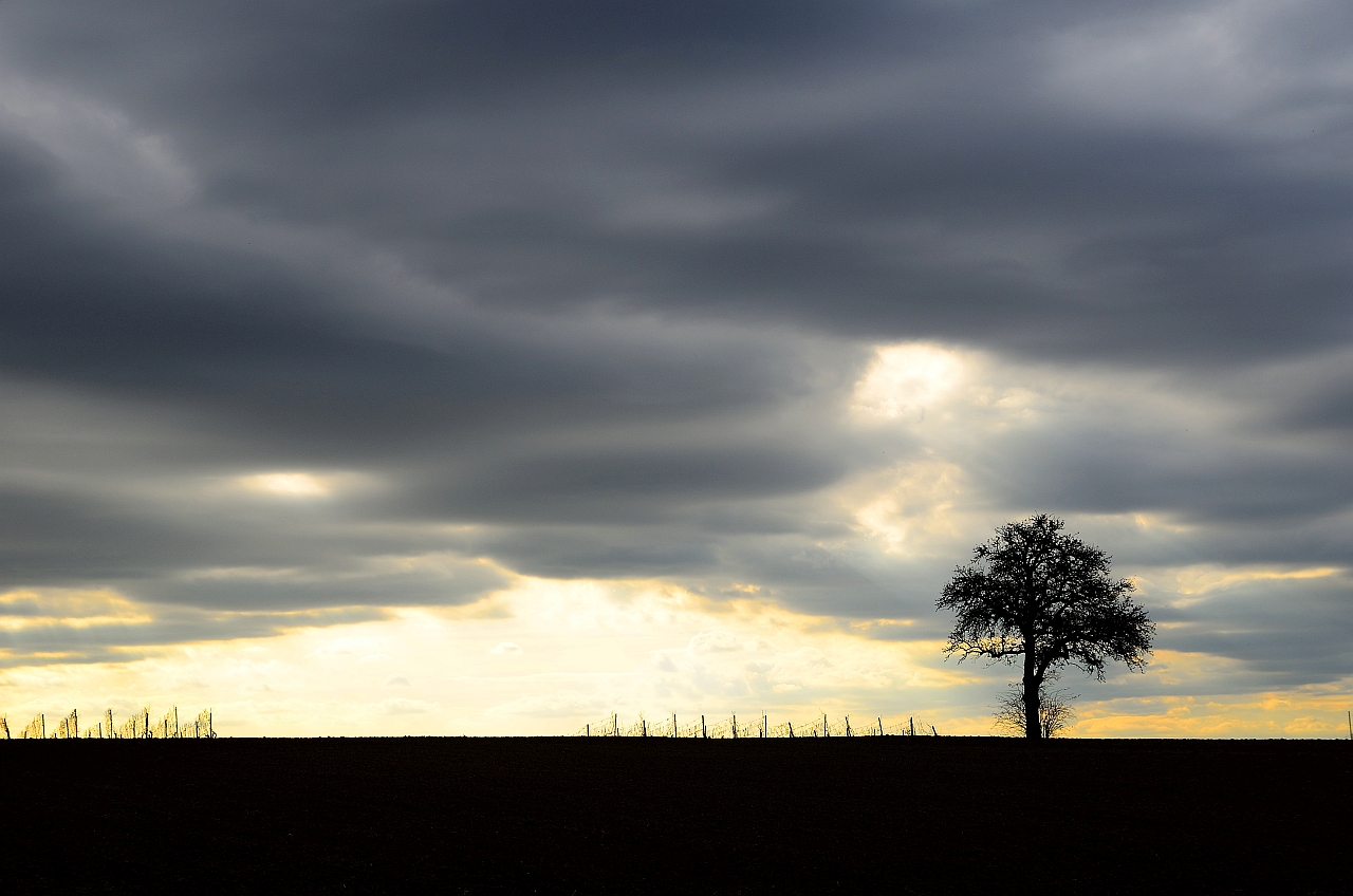 Düstere Aussichten, gloomy prospects, perspectivas sombrías