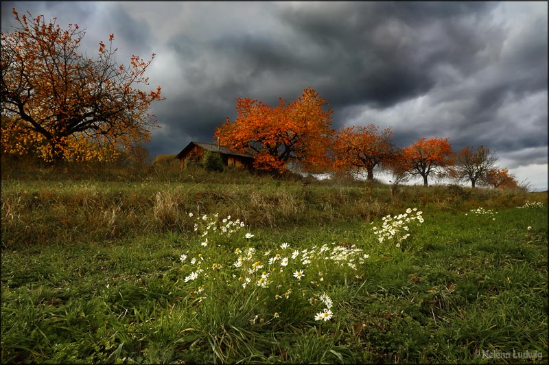 Düstere Herbststimmung