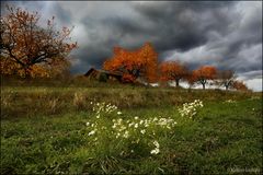 Düstere Herbststimmung