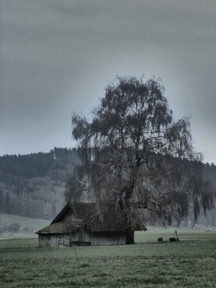 düstere Jahreszeit