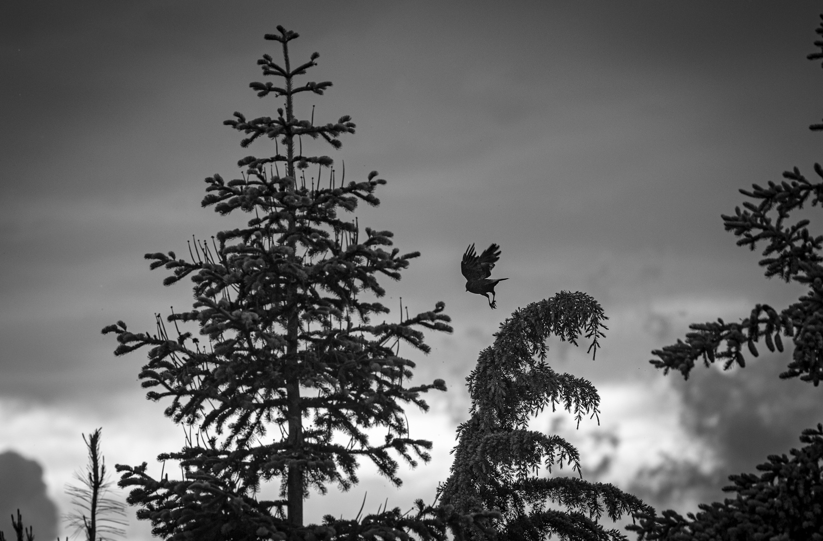 Düstere Stimmung beim Abflug