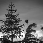 Düstere Stimmung beim Abflug