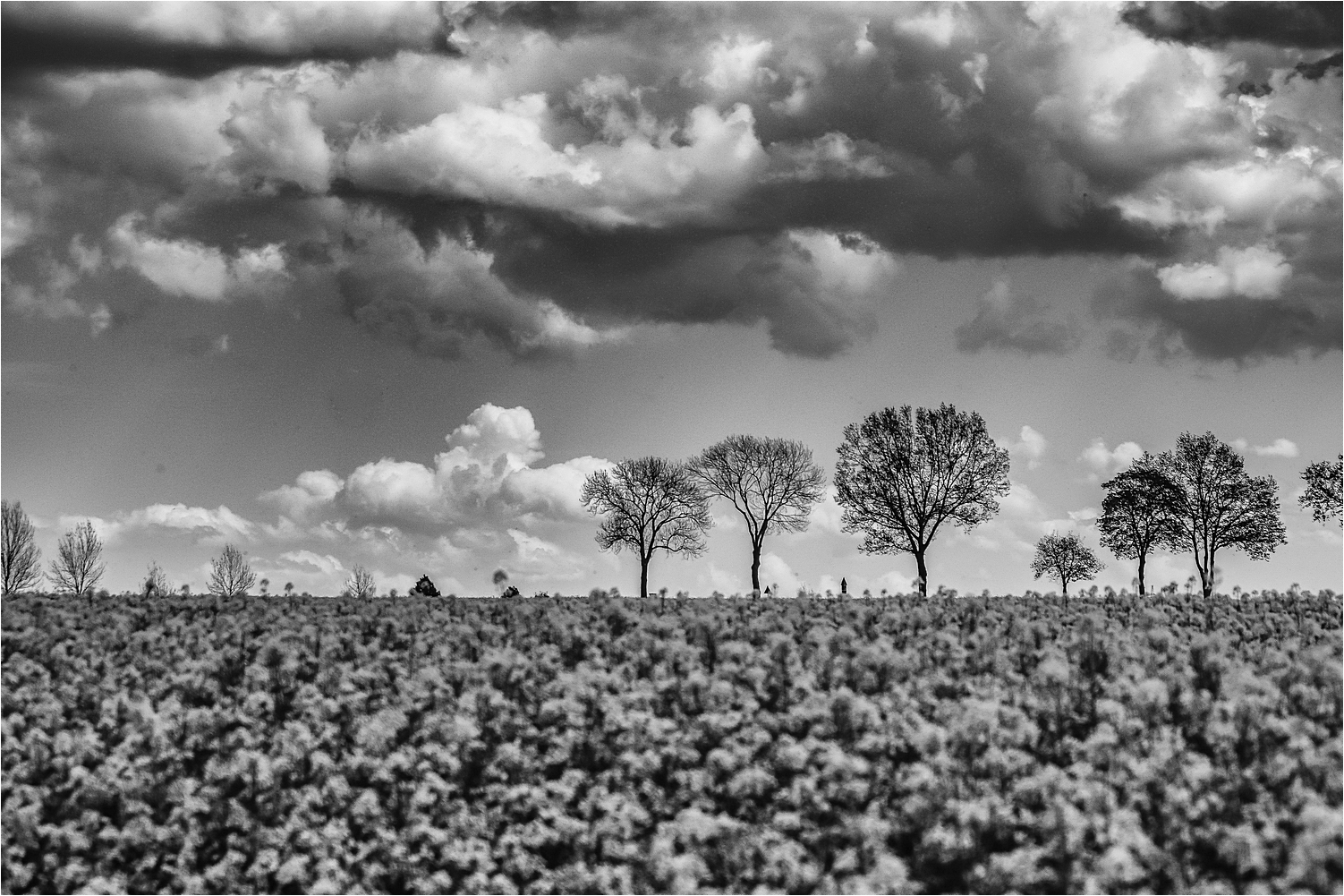 Düstere Wolken 1