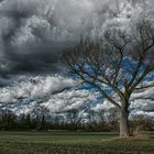 düstere Wolken