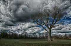 düstere Wolken