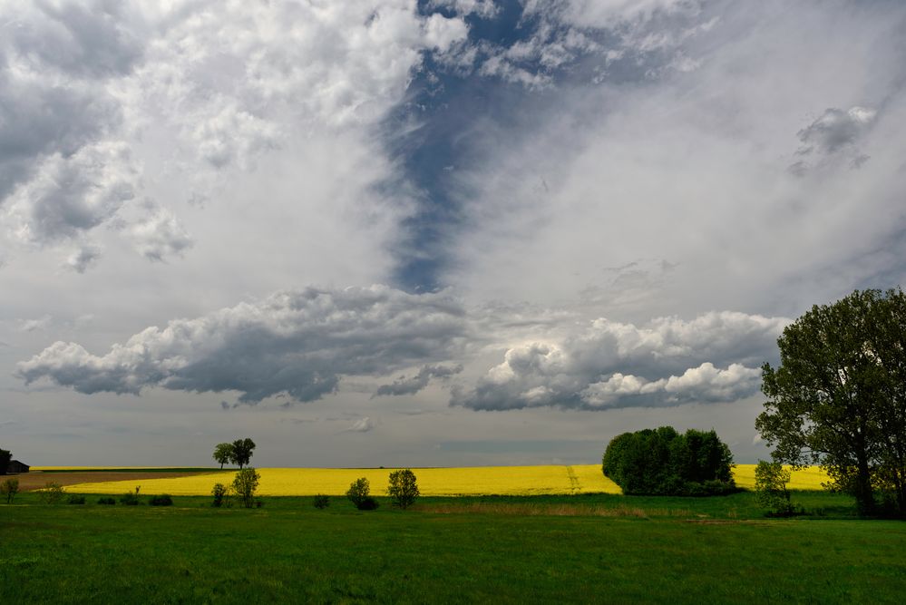 Düstere Wolken ...