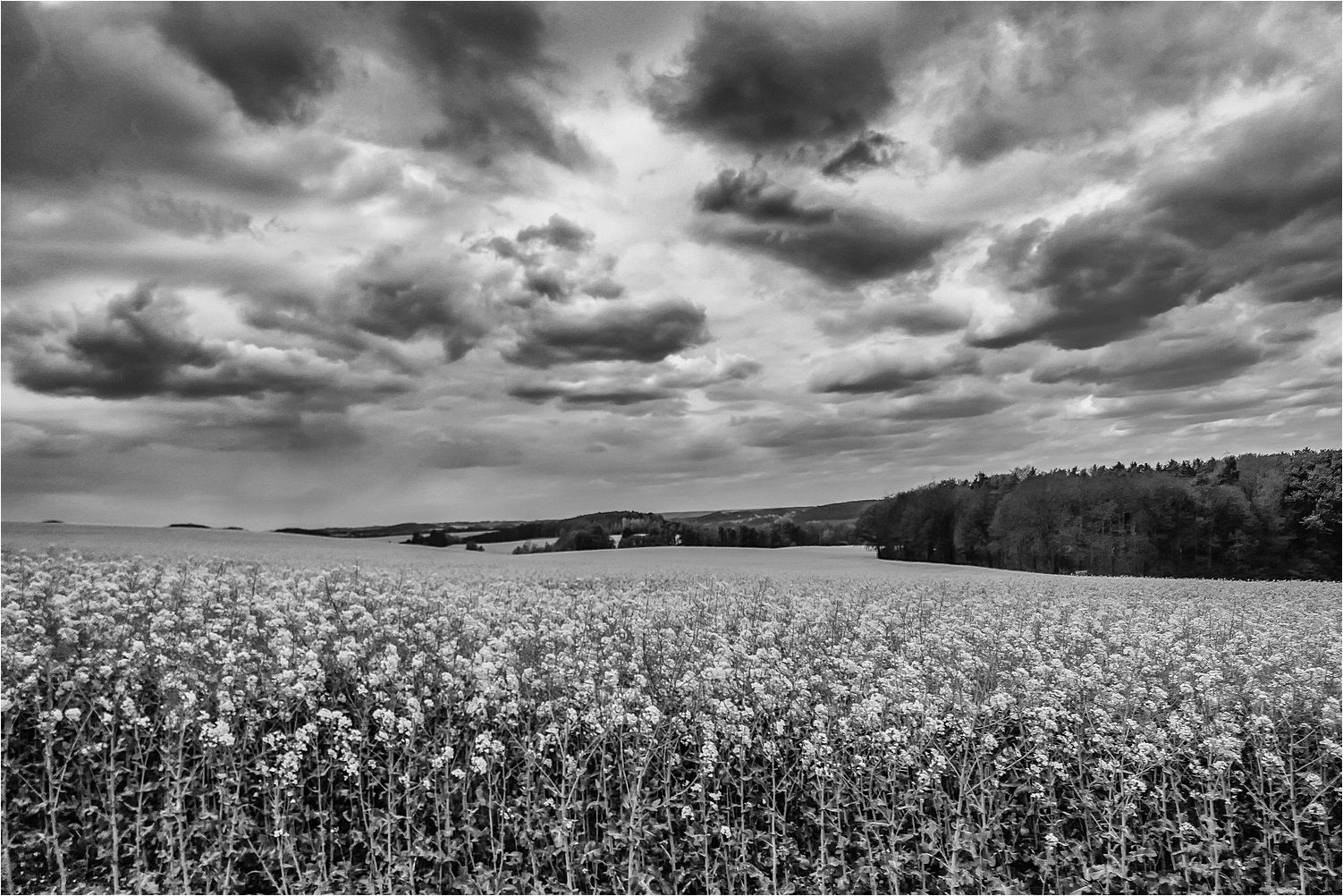 Düstere Wolken