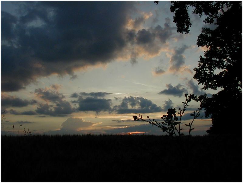 düsterer Abendausklang