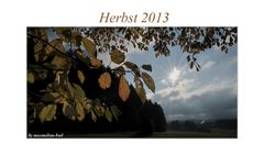 Düsterer Herbst