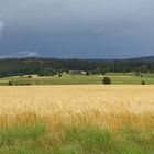 Düsterer Himmel über dem Haidberg