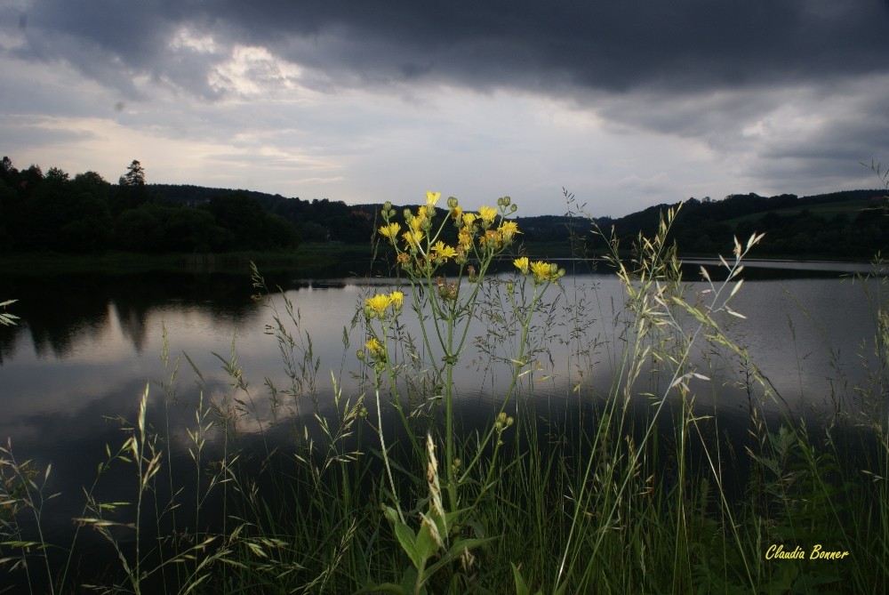 Düsterer Nachmittag am See