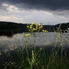 Düsterer Nachmittag am See