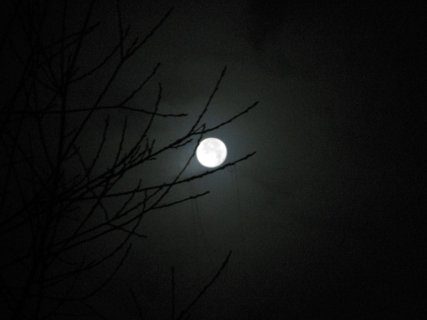 Düsterer Vollmond bei Nacht