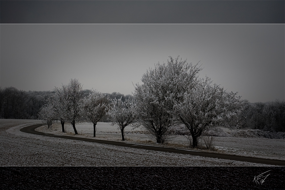 Düsterer Winter