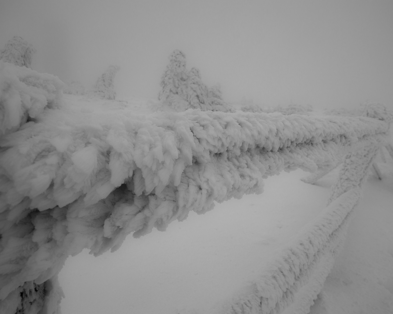 Düsteres Wintermärchen auf dem Brocken