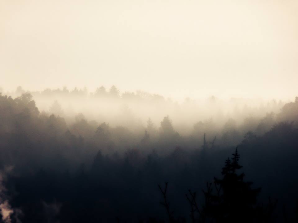 DüsterNebel