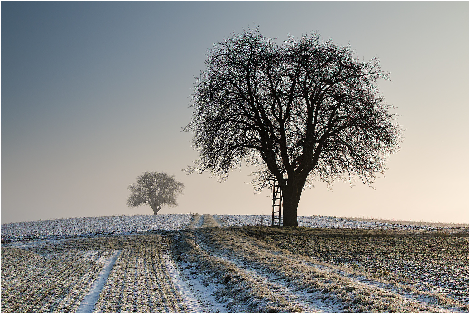 Duett im Morgenlicht