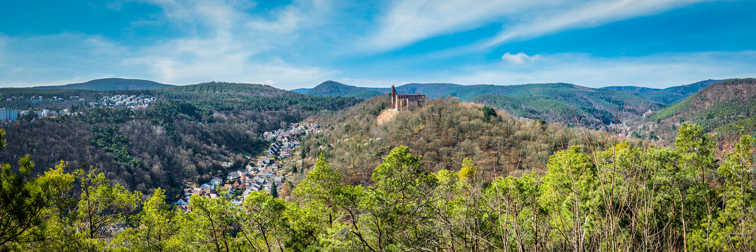 DÜW-Federschmidt Aussicht (2.24)