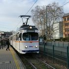 DüWag Betrieb in Ludwigshafen ( 5)