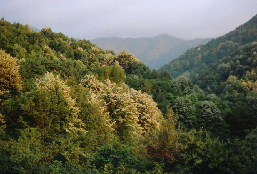 Düzce