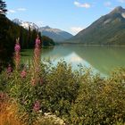 Duffey Lake