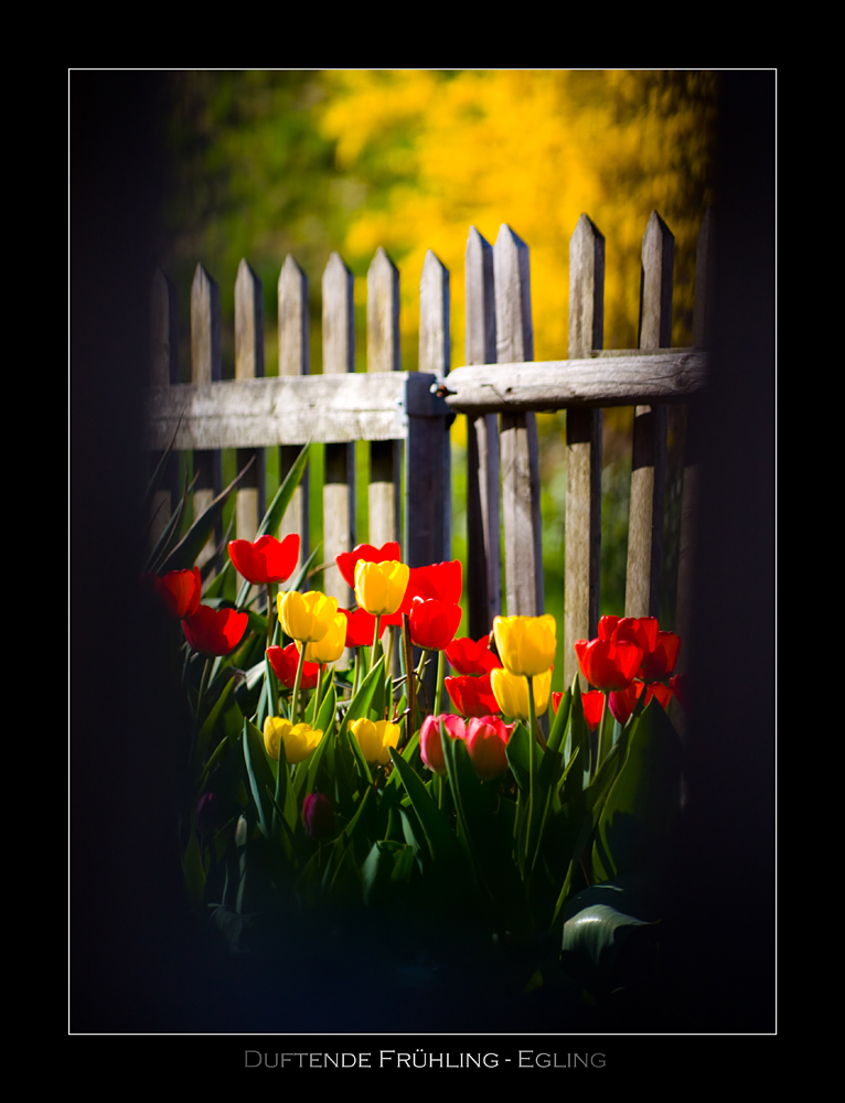 Duftende Frühling