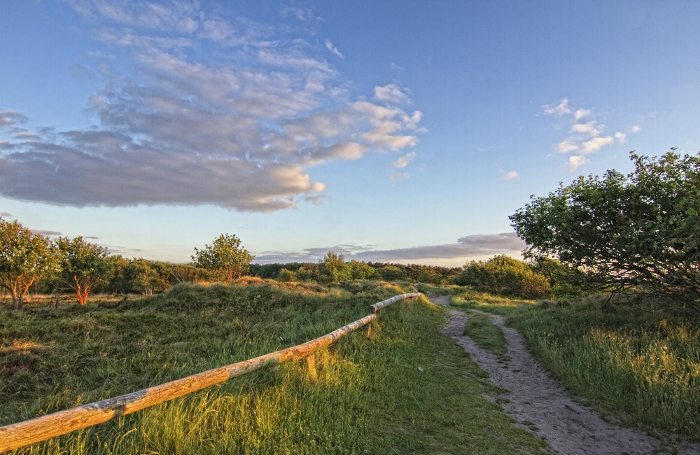 Duhner Heide 03