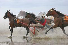 Duhner Wattrennen 2005 - Kopf an Kopf im 4. Rennen