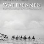 Duhner Wattrennen 2011