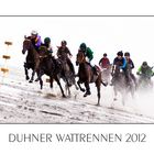 Duhner Wattrennen 2012