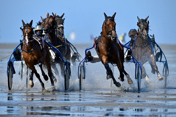 Duhner Wattrennen 2025