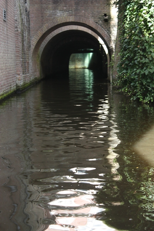 duikvaar in de diemen in Den Bosch