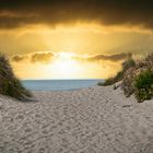 Duinen in bredene