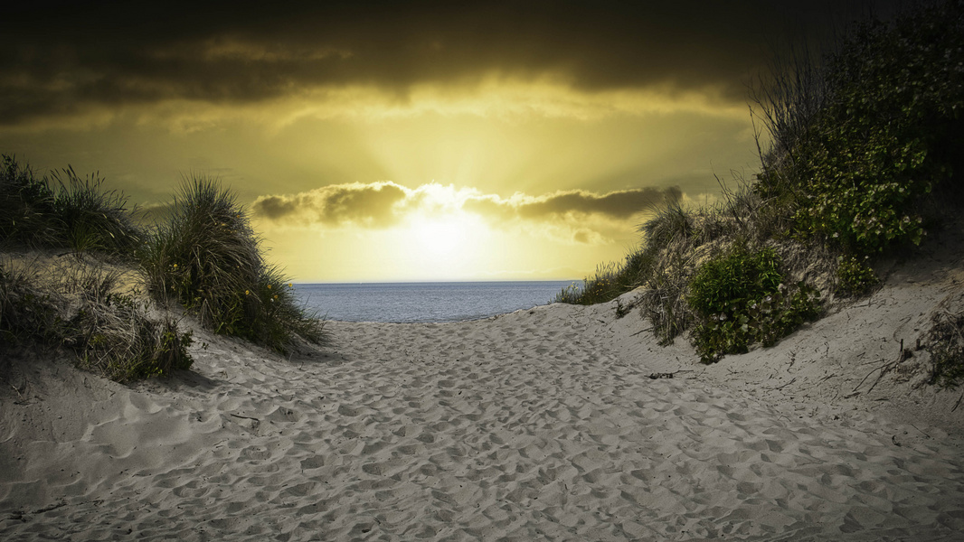 Duinen in bredene