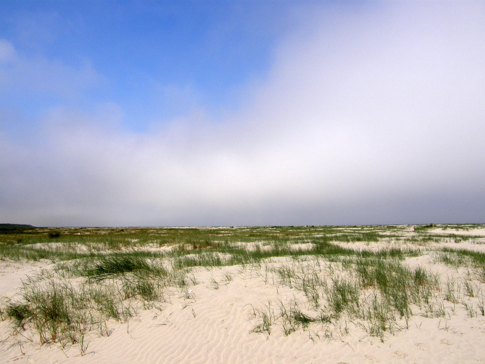 Duinen schiermonnikoog