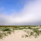 Duinen schiermonnikoog