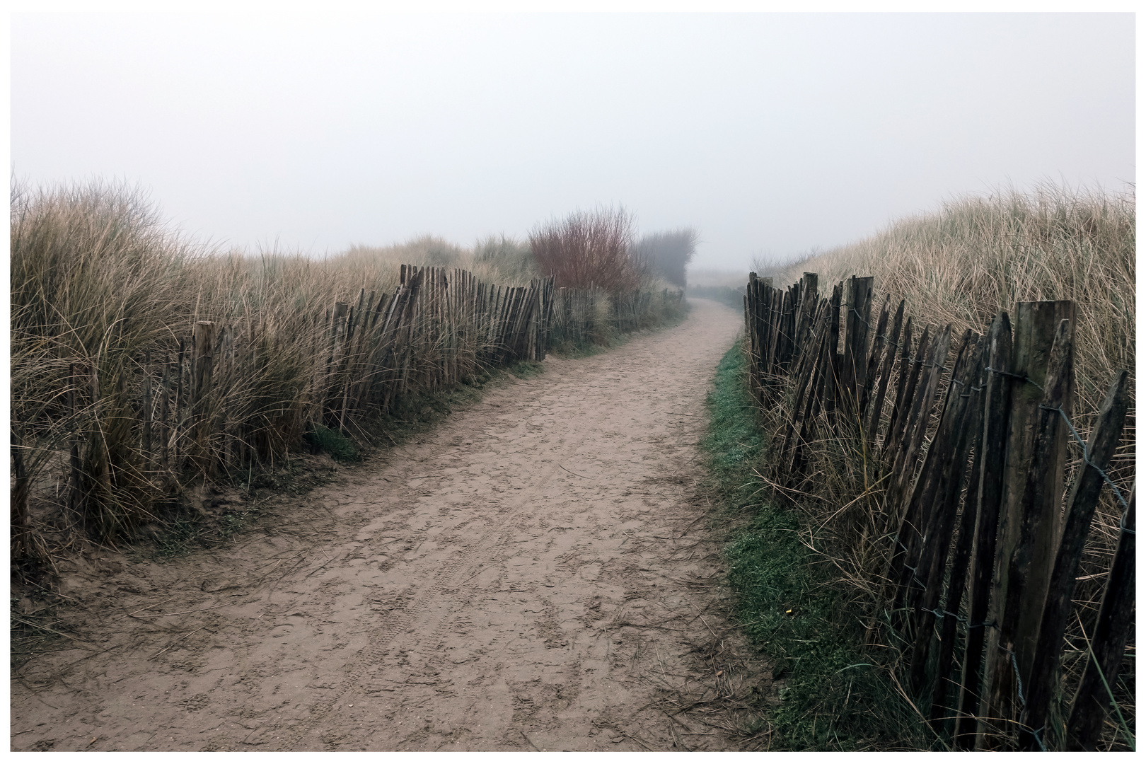 Duinpad Blankenberge