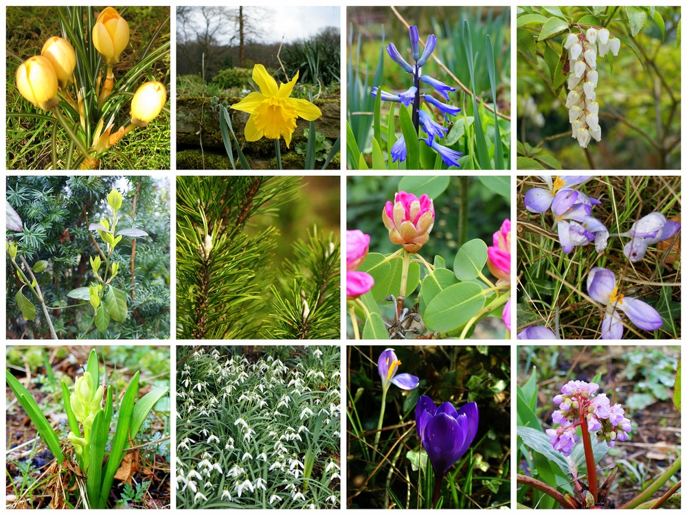 Duisburg-Botanischer Garten