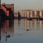 Duisburg, Innenhafen